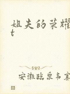 姐夫的荣耀txt封面