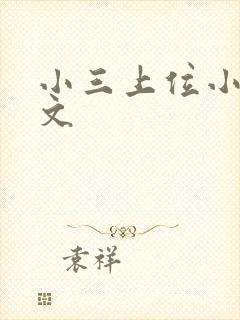 小三上位小说全文