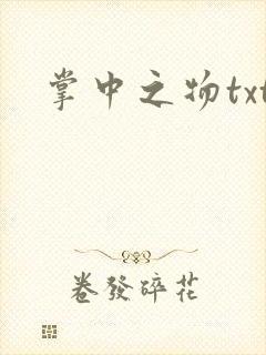 掌中之物txt封面