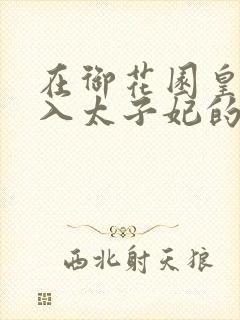 在御花园皇上进入太子妃的小说