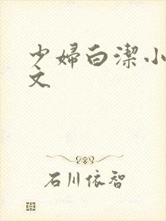 少妇白洁小说全文