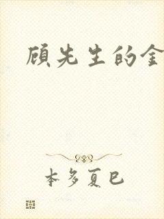 顾先生的金丝雀封面