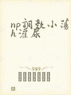 np调教小荡货h灌尿