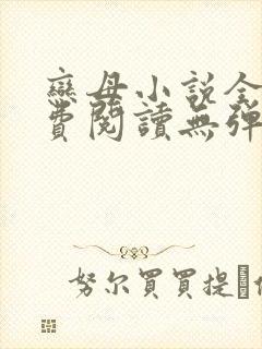 恋母小说全文免费阅读无弹窗笔趣阁封面