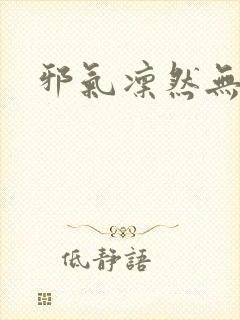 邪气凛然无弹窗封面