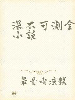 深不可测金银花小说