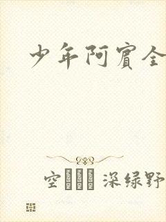 少年阿宾全集封面