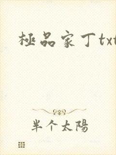 极品家丁txt