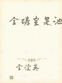 金磷岂是池中物封面