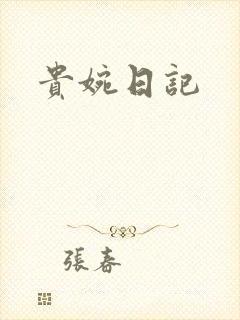 贵婉日记封面