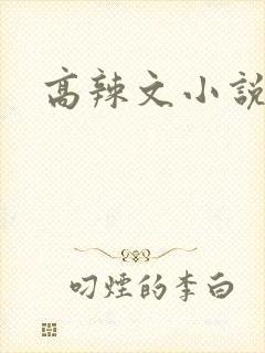 高辣文小说