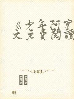 《少年阿宾》全文免费阅读