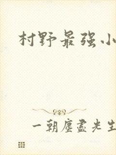 村野最强小农民