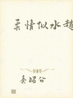 柔情似水赵雅儿