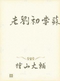 老刘初尝苏荷媳