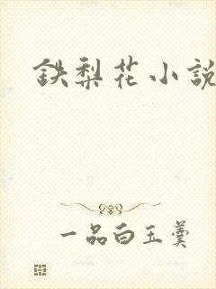 铁梨花小说