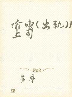 偷吃(出轨)h上司