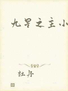九星之主小说