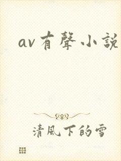 av有声小说封面