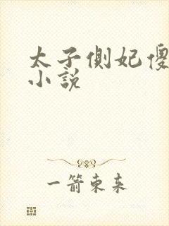 太子侧妃傻乎乎小说封面