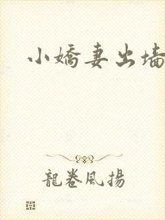 小娇妻出墙记封面
