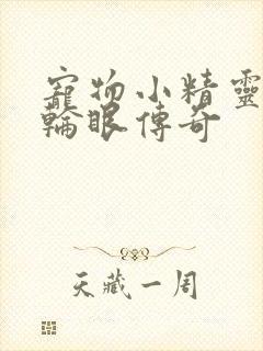 宠物小精灵之写轮眼传奇