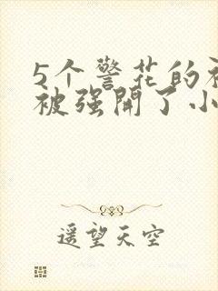 5个警花的初苞被强开了小说封面