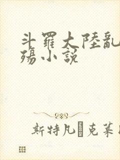 斗罗大陆乱世浮殇小说