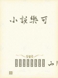 小说乐可封面