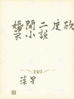 婚开二度欣欣向荣小说