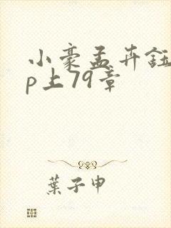 小豪孟卉钰慧三p上79章封面