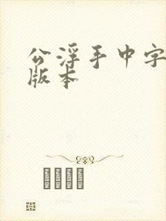 公浮手中字最新版本封面