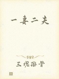 一妻二夫封面