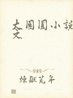 大团圆小说集全文封面