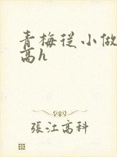 青梅从小做到大高h