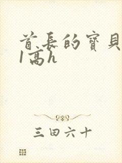 首长的宝贝1v1高h封面