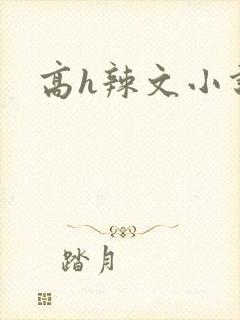 高h辣文小说封面