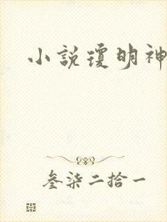 小说琼明神女录