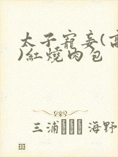 太子宠妾(高肉)红烧肉包封面