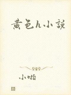 黄色h小说