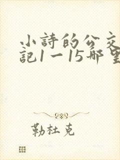 小诗的公交车日记1一15哪里能看