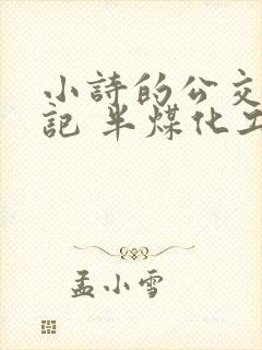 小诗的公交车日记 半煤化工