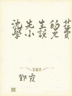 沈先生的花式教学小说免费