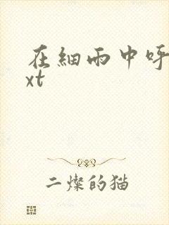 在细雨中呼喊txt