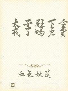 太子殿下今天破戒了吗免费阅读