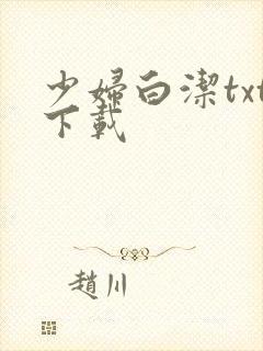 少妇白洁txt下载