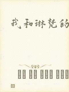 我和琳梵的故事封面
