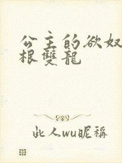 公主的欲奴h四根双龙