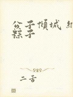 公子倾城 维和粽子