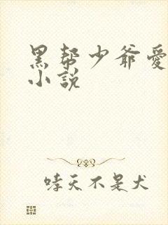 黑帮少爷爱上我小说